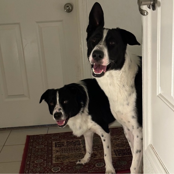 @crb_az is Live!  Live Show Flyer - Picture 3 of 5